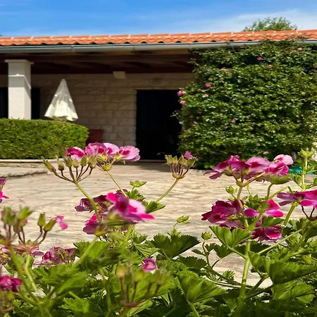 Magdalena - With Terrace A1 Apartman